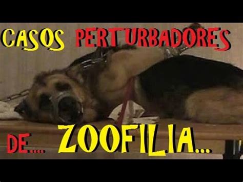 zoofilia porno|Vídeo porno Zoofilia